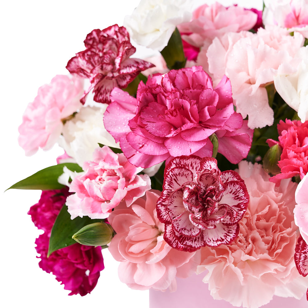 Perfectly Pink Carnation Gift Box, gift baskets, floral gifts, mother’s day gifts – Canada Blooms - Canada Delivery
