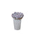 Petite Potted Succulent