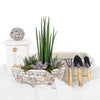 Potted Succulent Garden, floral gift baskets, gift baskets, succulent gift baskets