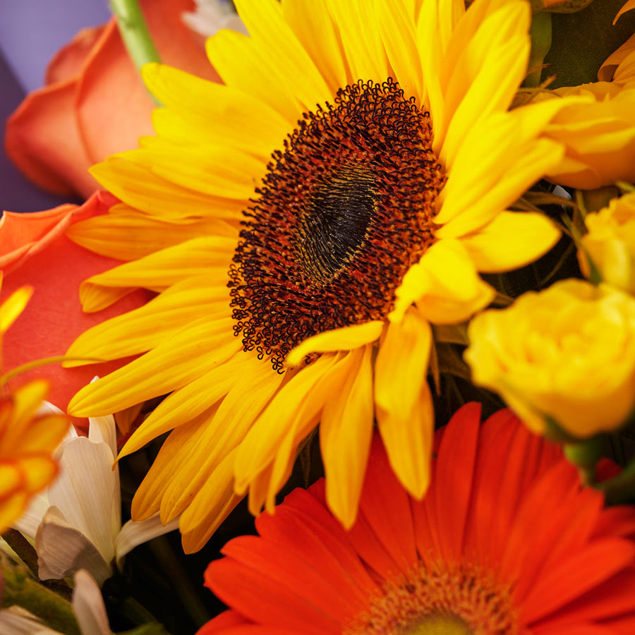 Ray of Hope Sunflower Bouquet, sunflowers, roses, gerbera, daisies, and more, bringing light and positivity to any space, Floral Gifts from Blooms Canada - Same Day Canada Delivery.
