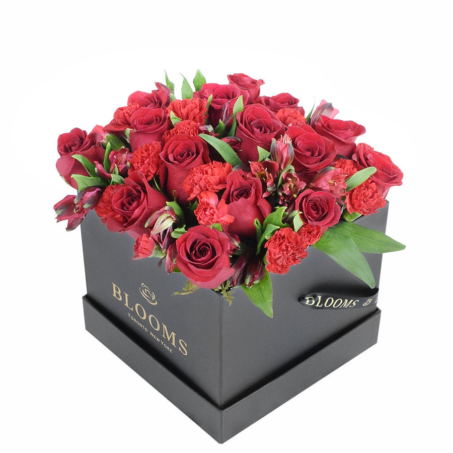 Red Radiance Hat Box - Red Rose Blooms Canada Delivery