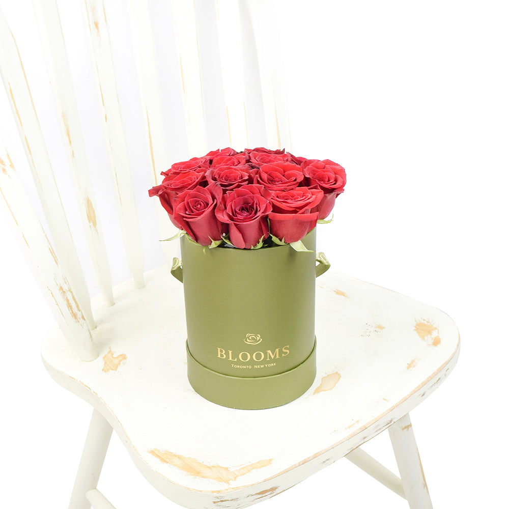 Red Rose & Spring Green Gift Box – Canada Blooms - Canada Delivery