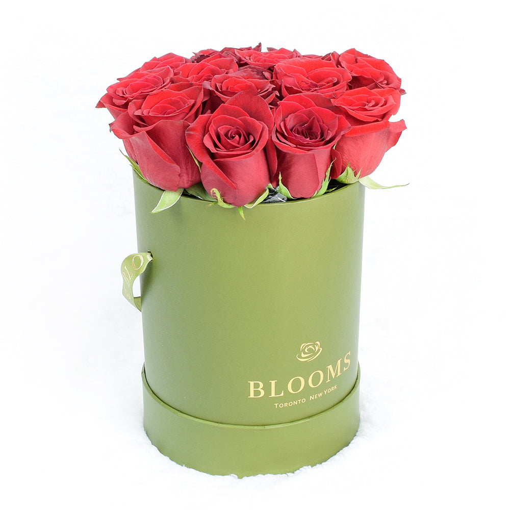 Red Rose & Spring Green Gift Box – Canada Blooms - Canada Delivery