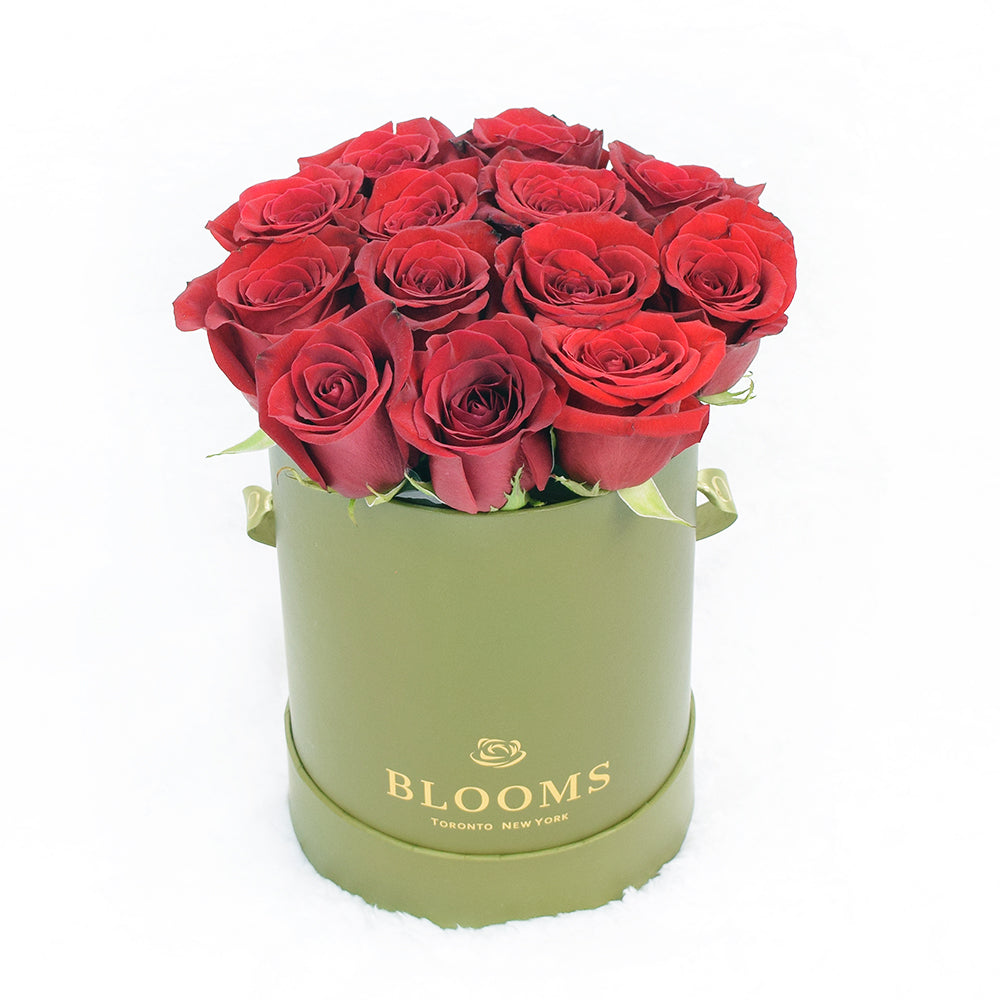 Red Rose &amp; Spring Green Gift Box – Canada Blooms - Canada Delivery