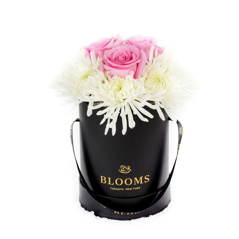 Simplistic Elegance Rose and Mum's Box Arrangement, pink roses and white chrysanthemums in a black designer hat box, Flower Gifts from Canada Blooms - Canada Delivery