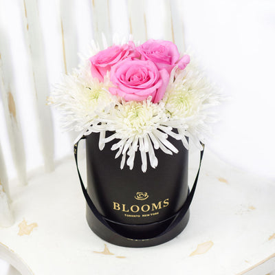 Simplistic Elegance Rose and Mum's Box Arrangement, pink roses and white chrysanthemums in a black designer hat box, Flower Gifts from Blooms Canada - Same Day Canada Delivery.