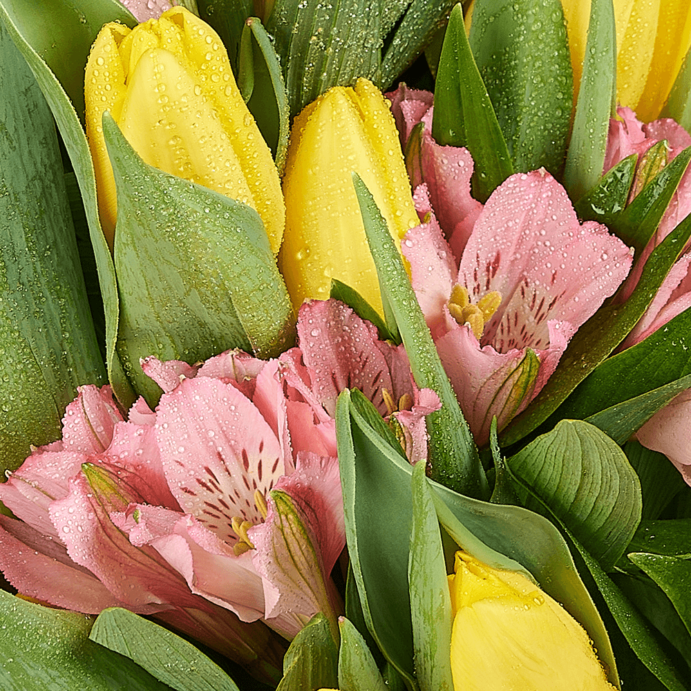 Spring Radiance Mixed Bouquet, tulip gift, tulips, flower gift, flower, seasonal flower gift, seasonal flower, – Canada Blooms - Canada Delivery