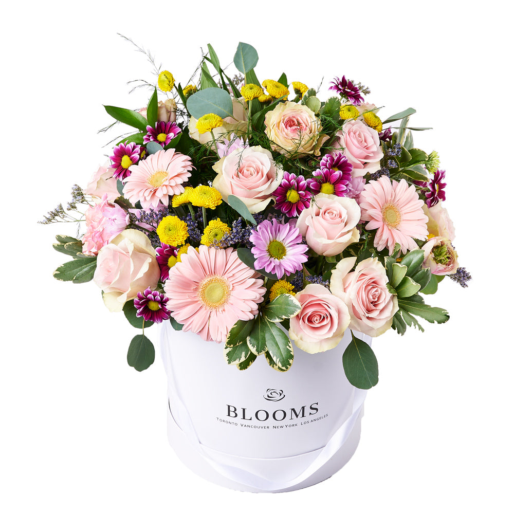 Striking Mixed Garden Arrangement, gift baskets, floral gifts, mother’s day gifts – Canada Blooms - Canada Delivery