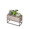 Succulent Garden Planter Box, plant gift, plant, succulent gift, succulent, Canada delivery