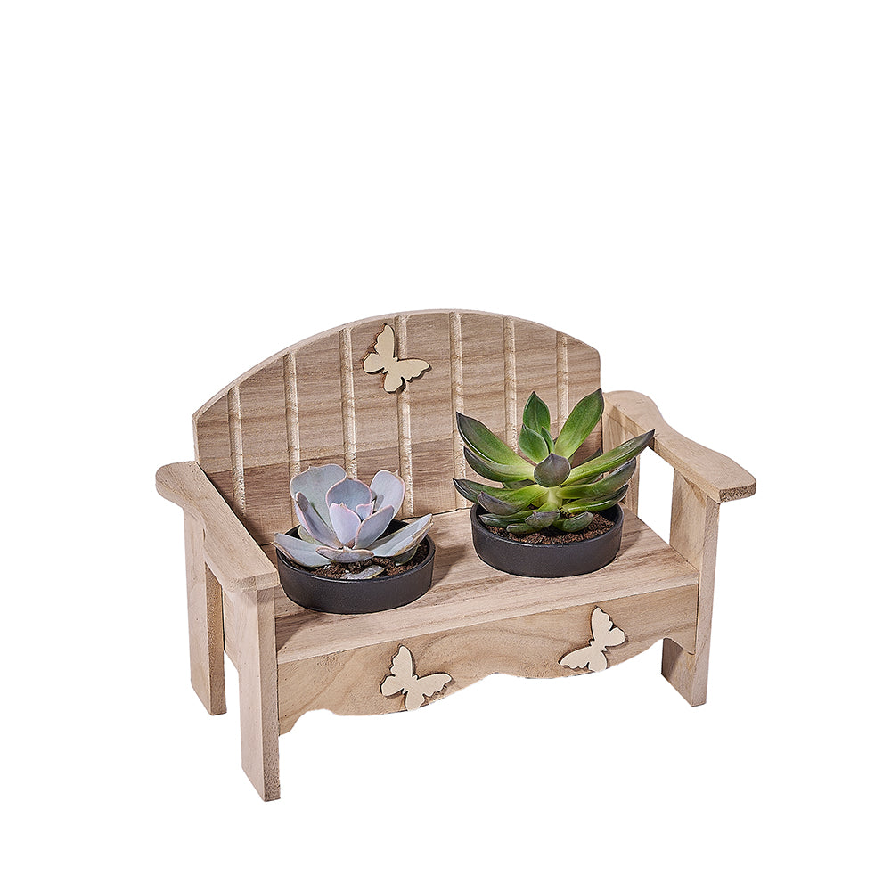 Succulent Greenhouse Garden Bench, plant gift, plant, succulent gift, succulent, – Canada Blooms - Canada Delivery