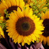 Summer Glory Sunflower Bouquet. Blooms Canada Delivery