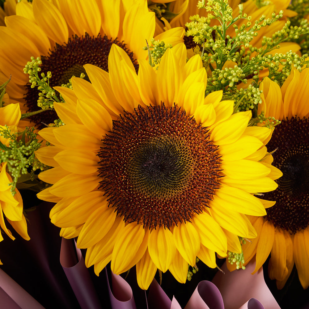 Summer Glory Sunflower Bouquet – Canada Blooms - Canada Delivery