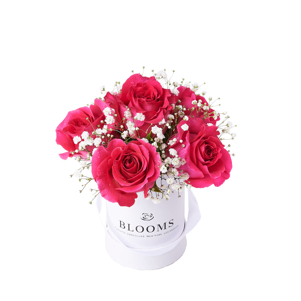 Tender Pink Rose Gift, gift baskets, floral gifts, mother’s day gifts – Canada Blooms - Canada Delivery