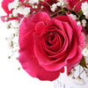 Tender Pink Rose Gift, gift baskets, floral gifts, mother’s day gifts Canada Blooms