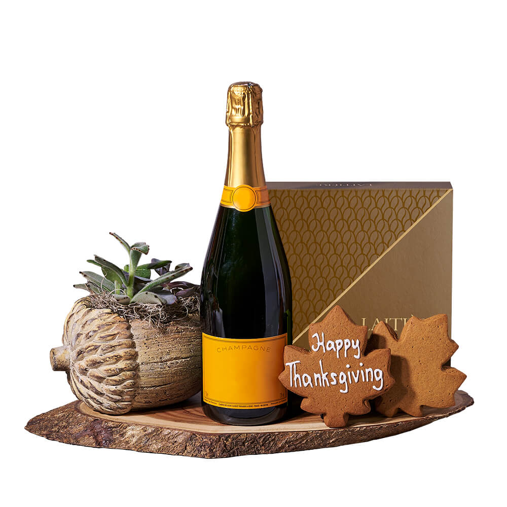 Thanksgiving Champagne & Succulent Gift, sparkling wine gift, sparkling wine, champagne gift, champagne, plant gift, plant, thanksgiving gift, thanksgiving – Canada Blooms - Canada Delivery
