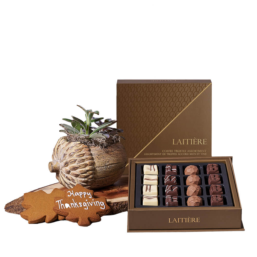 Thanksgiving Succulent & Cookie Gift, thanksgiving gift, thanksgiving, chocolate gift, chocolate, plant gift, plant. – Canada Blooms - Canada Delivery