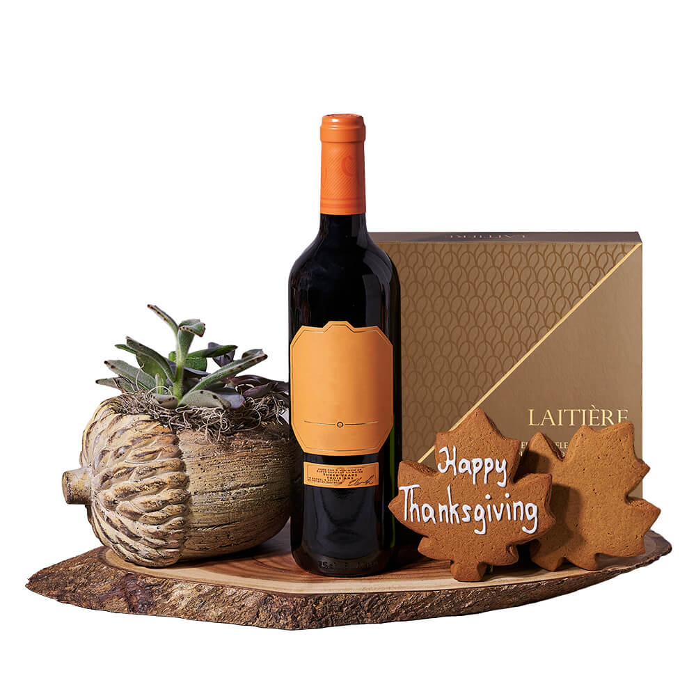 Thanksgiving Wine & Succulent Gift, wine gift, wine, thanksgiving gift, thanksgiving, plant gift, plant, gourmet gift, gourmet. – Canada Blooms - Canada Delivery