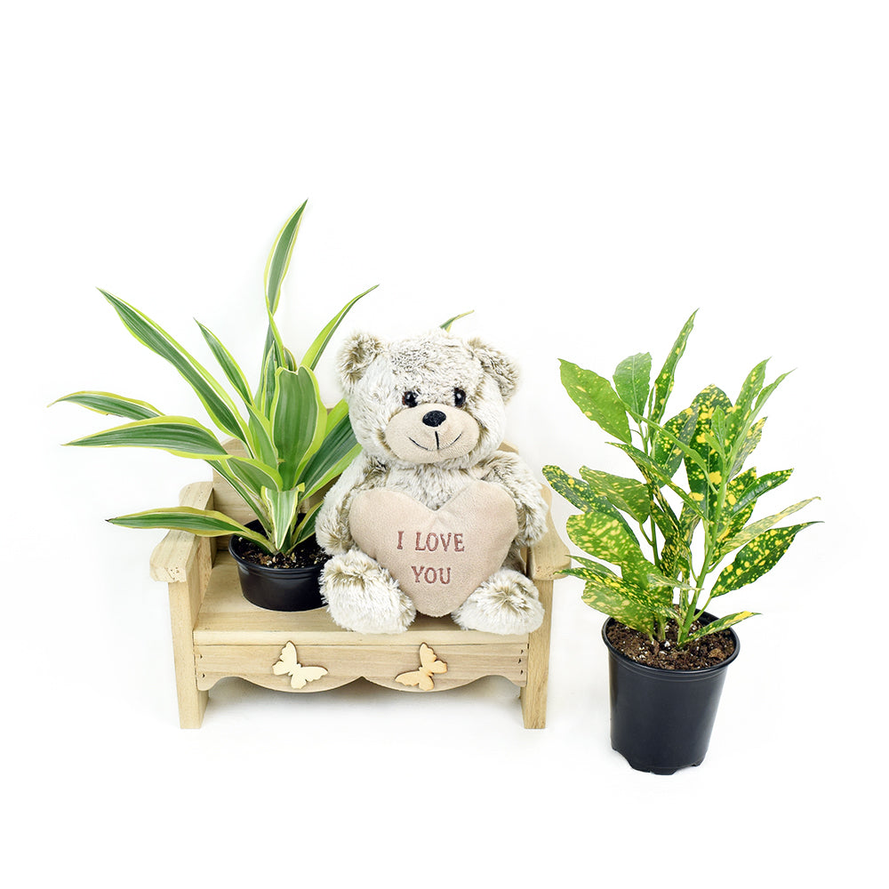 The Gardener's Chair, – Canada Blooms - Canada Delivery