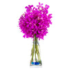 The Premium Pink Exotic Orchids Gift, Blooms Canada Delivery