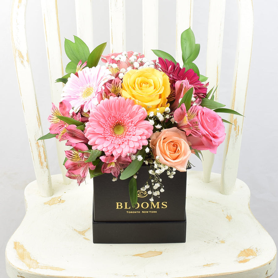 Touch of Spring Box Arrangement, Blooms Canada Delivery