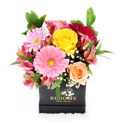 Touch of Spring Box Arrangement, Blooms Canada Delivery