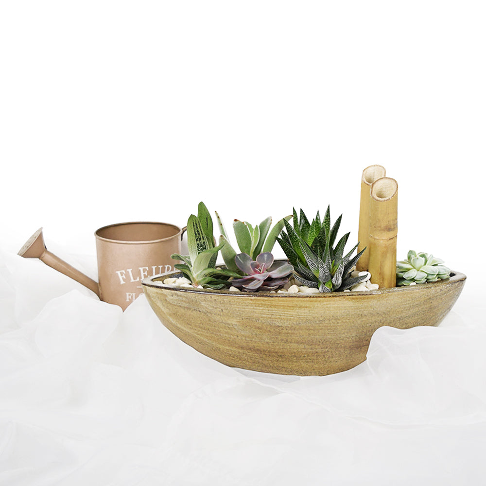 Tropical Plant Garden – Canada Blooms - Canada Delivery