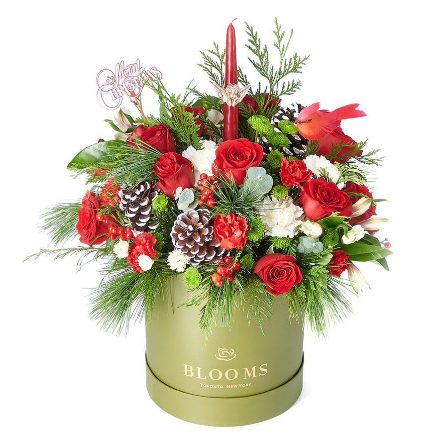 Ultimate Holiday Flower Box, roses, carnations, pine cones, alstroemeria, daisies, berries, greens, and holiday decorations in a sleek round green designer box, Flower gifts from Blooms Canada - Same Day Canada Delivery.