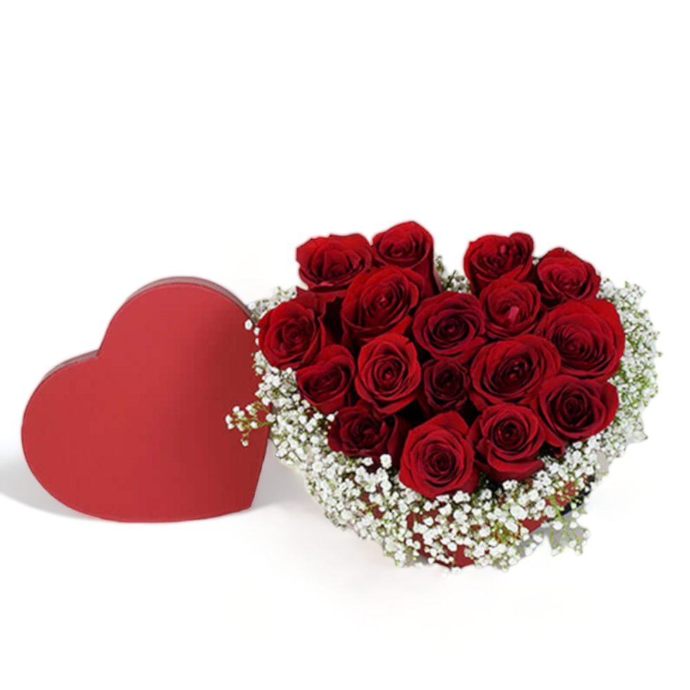Valentine’s Day Rose Bouquet – Canada Blooms - Canada Delivery