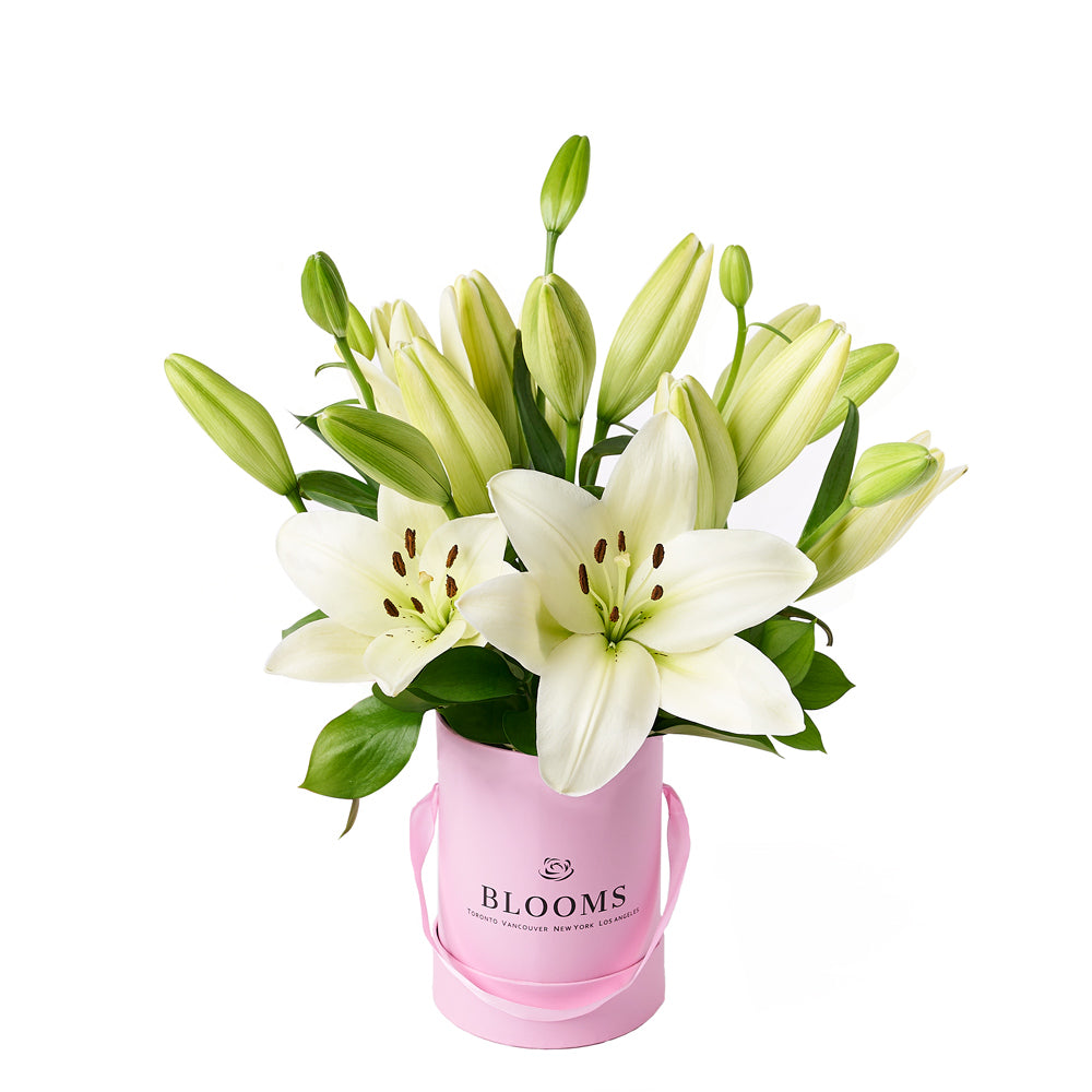 Wondrous Cream Lily Hat Box, lily gift, flower gift, mother's day, floral gift – Canada Blooms - Canada Delivery