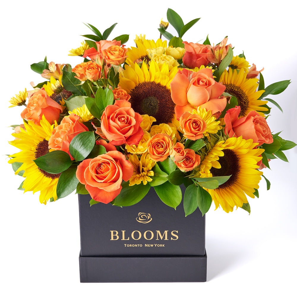 You Are My Sunshine Sunflower Box Gift, assorted mixed flowers gift, sunflower mixed flowers gift, box gift delivery canada – Canada Blooms - Canada Delivery