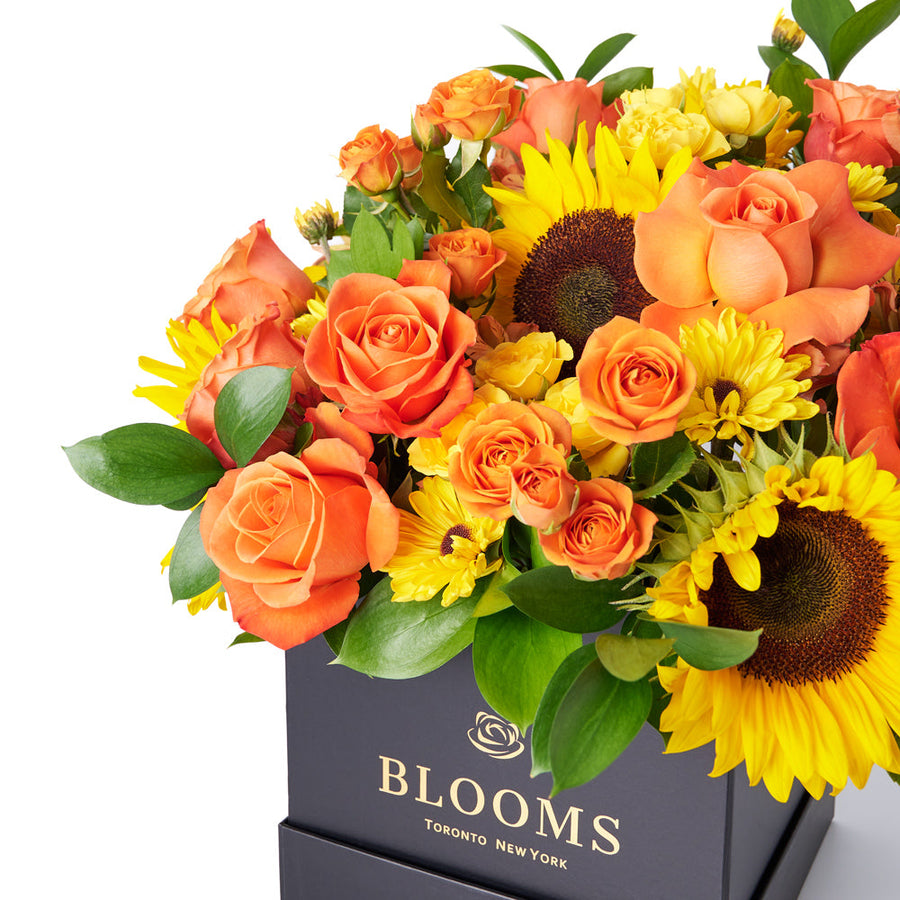 You Are My Sunshine Sunflower Box Gift, assorted mixed flowers gift, sunflower mixed flowers gift, box gift delivery canada, Blooms Canada Delivery