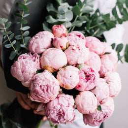 Flower of the Month Club Toronto 