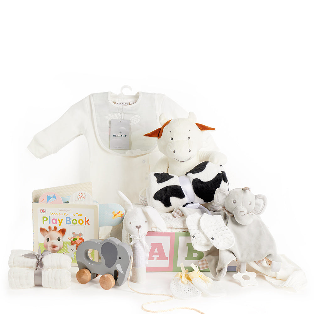 ABC Baby Gift Basket, charming baby blankets, soft washcloths, socks, mittens, an adorable elephant pull toy, a bunny rattle, and even a pull-tab book. Practical, beautiful, and thoughtfully presented, Baby Gifts from Canada Blooms - Same Day Canada Delivery.
