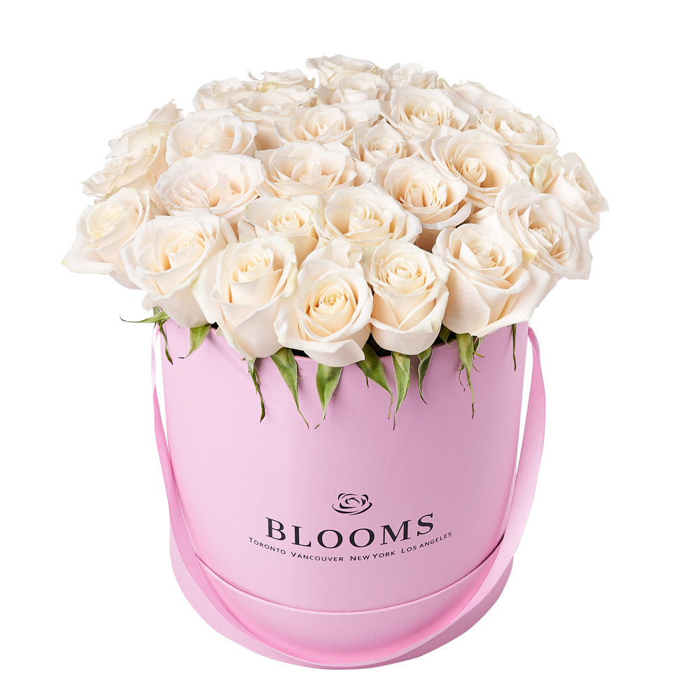 Delicate White Rose Gift, gift baskets, floral gifts, mother’s day gifts – Canada Blooms - Canada Delivery