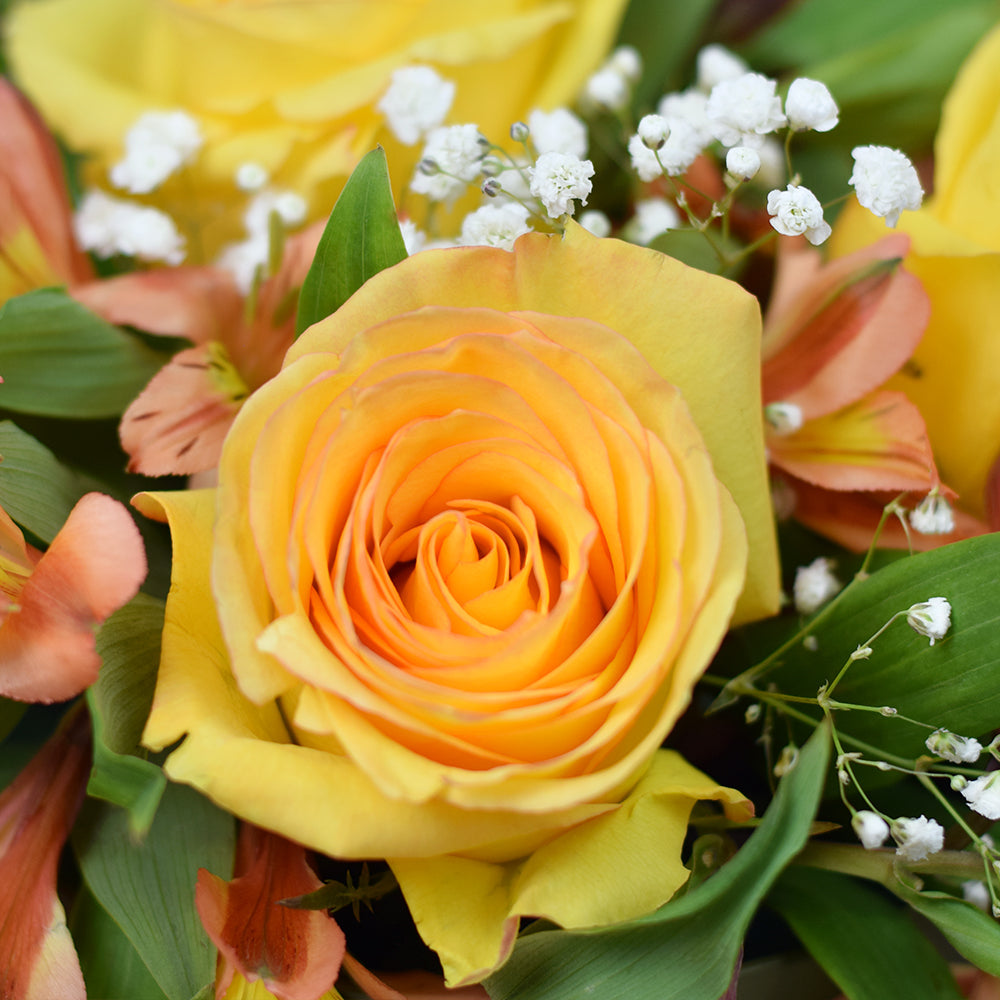 Autumnal Sunset Arrangement - Flower Gifts – Canada Blooms Delivery
