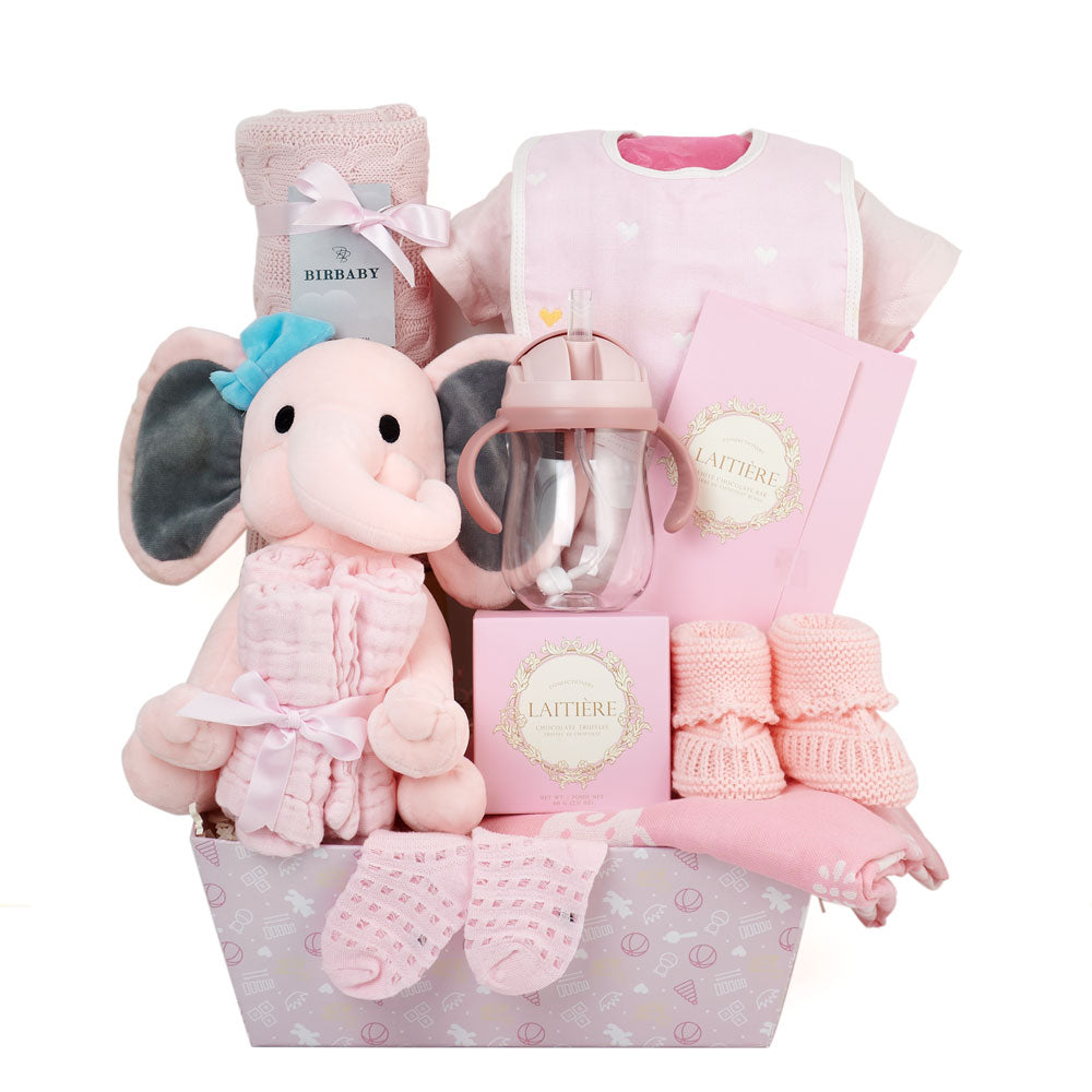 Baby Girl Plush Gift Basket, endearing pink elephant plush, a charming bodysuit, cozy socks, blankets, and more! To enhance the charm, Baby Gifts from Canada Blooms - Same Day Canada Delivery.
