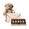 Bear & Love Letter Truffle Gift, plush teddy bear toy and a love letter box of chocolate truffles, Love Gifts from Blooms Canada - Same Day Canada Delivery.