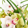“Berry Special” Orchid Arrangement – Orchid Gifts – Toronto delivery