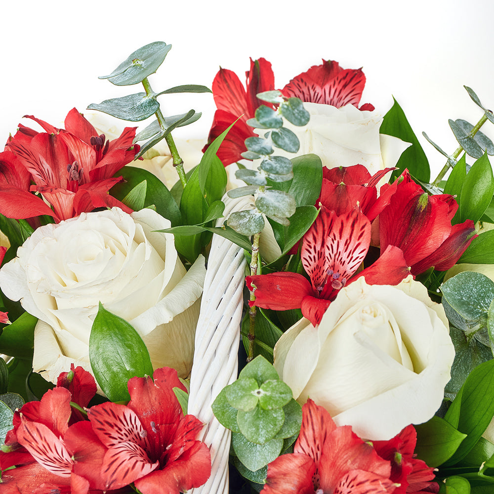 Bountiful Garden Basket For Mom - Mixed Floral Gift Basket - Same Day Canada Blooms Delivery