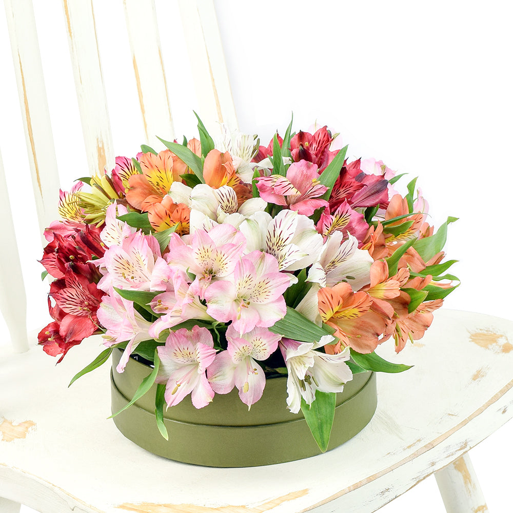 Brilliant multi-coloured lily floral box arrangement. Same Day Canada Blooms Delivery