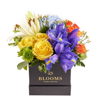 Bursting Beauty Iris Box Arrangement, contrasting roses, irises, hydrangea, and lilies, assorted selection of roses, irises, spray roses, hydrangea, lily, and greens gathered together in a stylish box, Flower Gifts from Blooms Canada - Same Day Canada Delivery.