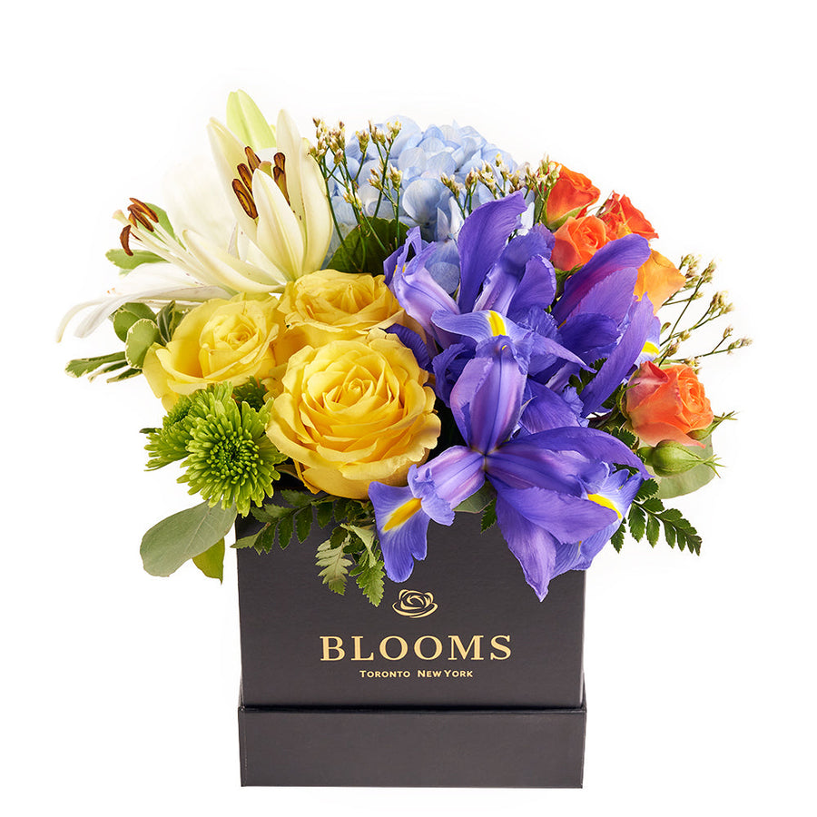 Bursting Beauty Iris Box Arrangement, contrasting roses, irises, hydrangea, and lilies, assorted selection of roses, irises, spray roses, hydrangea, lily, and greens gathered together in a stylish box, Flower Gifts from Canada Blooms - Same Day Canada Delivery.
