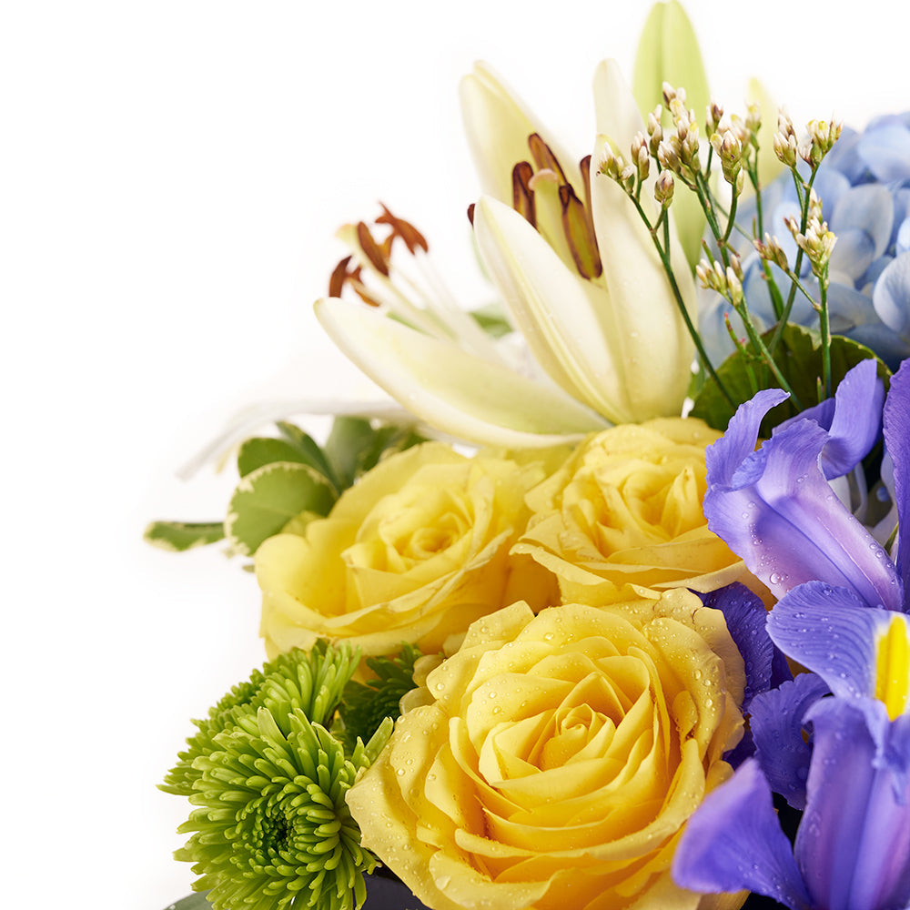 Bursting Beauty Iris Box Arrangement, contrasting roses, irises, hydrangea, and lilies, assorted selection of roses, irises, spray roses, hydrangea, lily, and greens gathered together in a stylish box, Flower Gifts from Canada Blooms - Same Day Canada Delivery.
