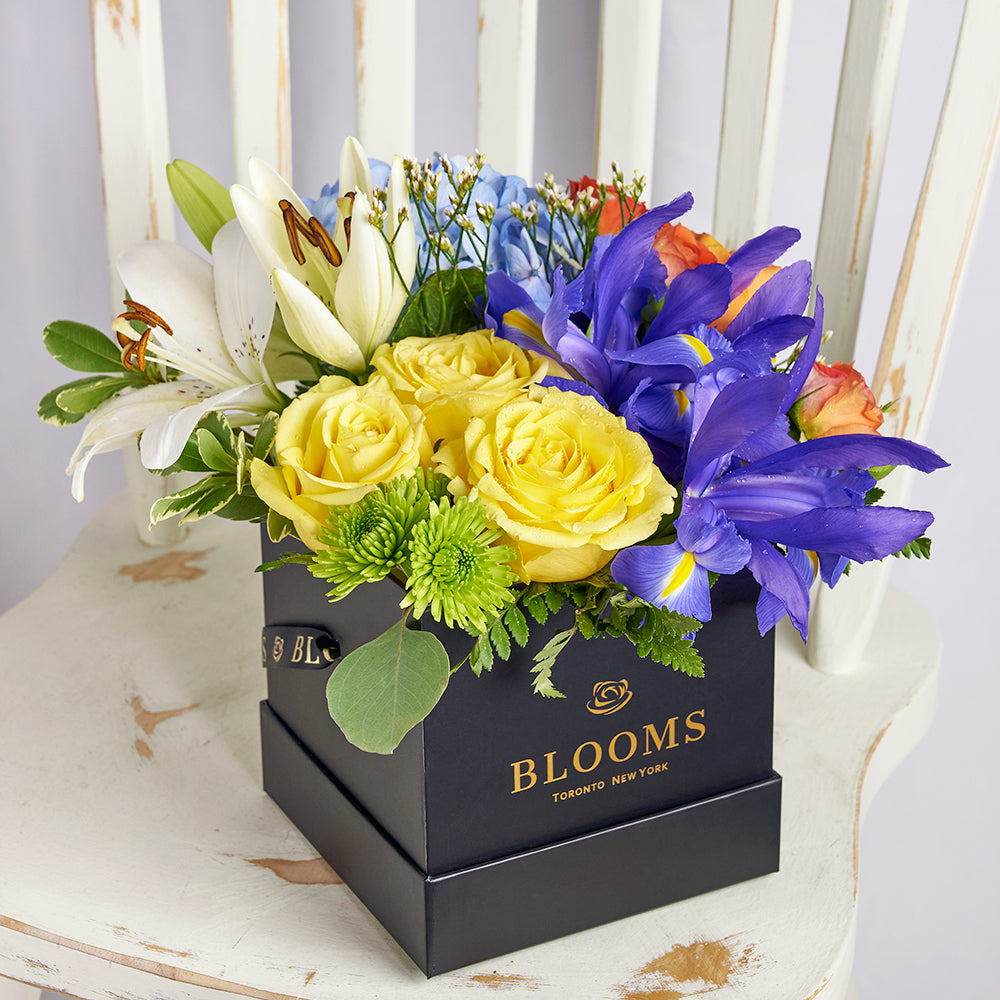 Bursting Beauty Iris Box Arrangement, contrasting roses, irises, hydrangea, and lilies, assorted selection of roses, irises, spray roses, hydrangea, lily, and greens gathered together in a stylish box, Flower Gifts from Canada Blooms - Same Day Canada Delivery.