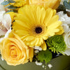 Celebrations Galore Flowers & Champagne Gift - Mixed Floral Hat Box and Sparkling Wine Gift - Same Day Blooms Canada Day