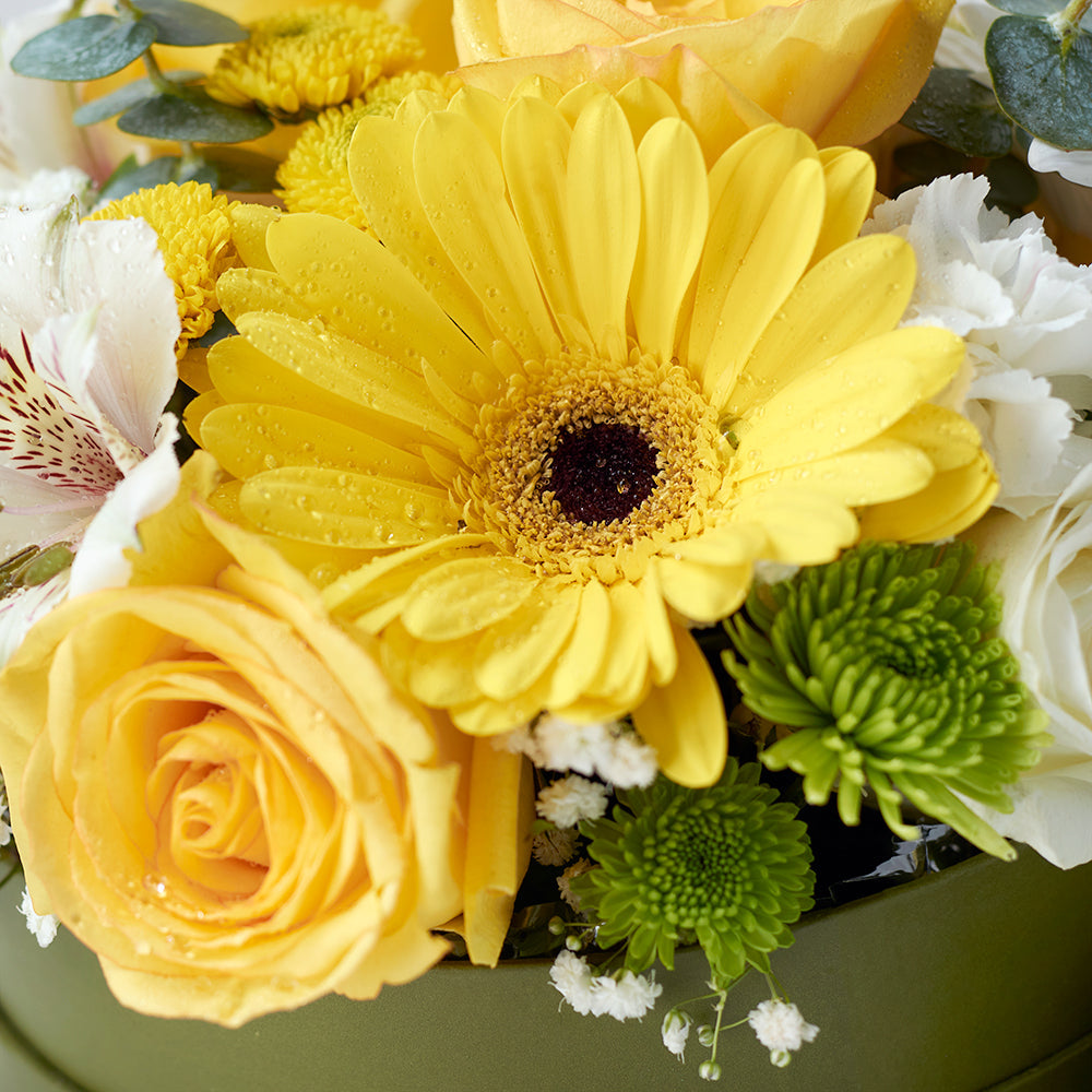 Celebrations Galore Flowers & Champagne Gift, bottle of champagne, a box of chocolates, and a vibrant assortment of blooms featuring roses, alstroemeria, and daisies, Flower Gifts from Canada Blooms - Same Day Canada Delivery.