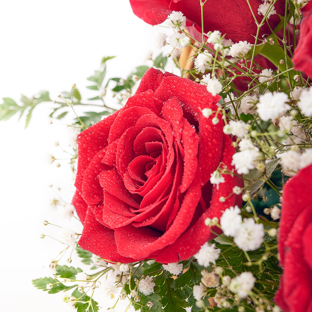 Canada Same Day Flower Delivery - Canada Flower Gifts - Rose Bouquet