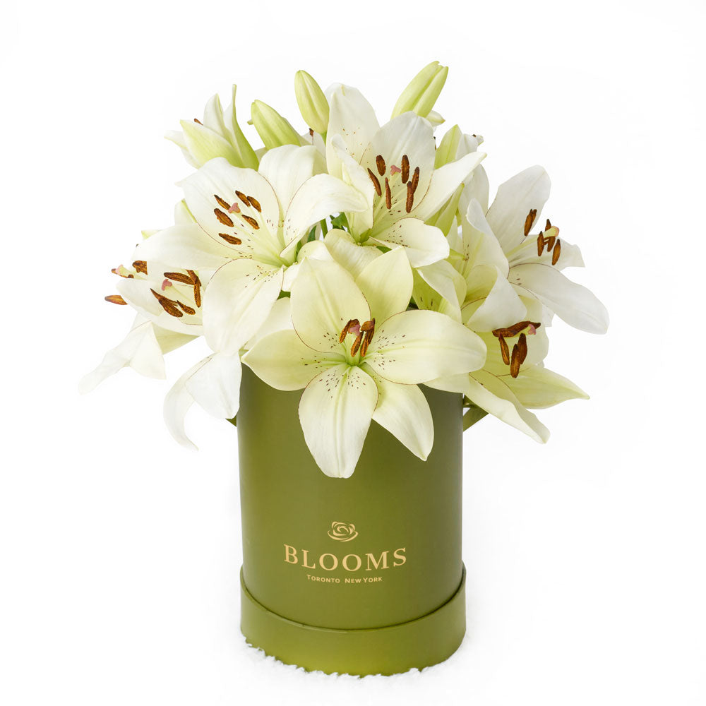 Cornsilk Surprise Lilies Vase Arrangement. Same Day Canada Delivery