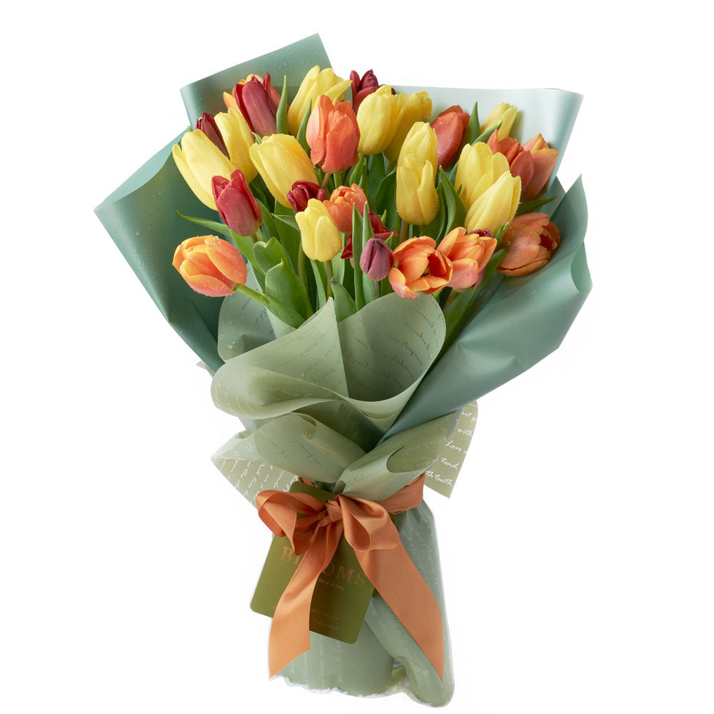 Multi Colour Tulip Bouquet Blooms Canada Same Day Delivery