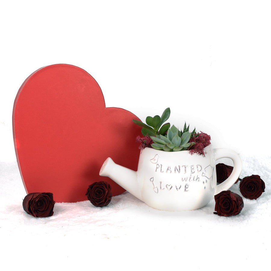 Valentine's Day Planted With Love Succulent Trio. Blooms Canada- Blooms Canada Delivery